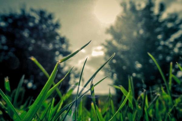 Success Banking Institute Benta Chowk