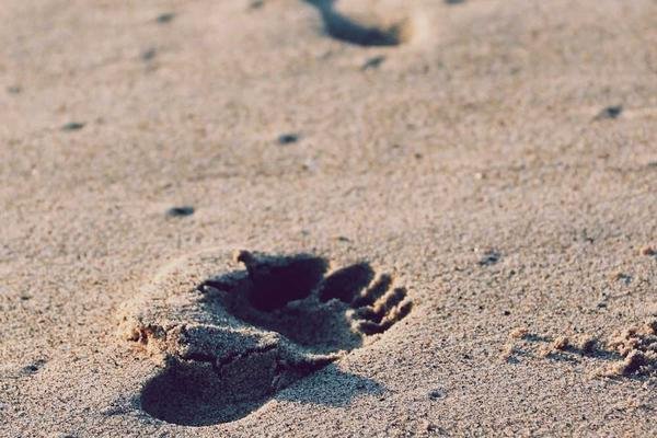 Benta Chowk Stationery Point