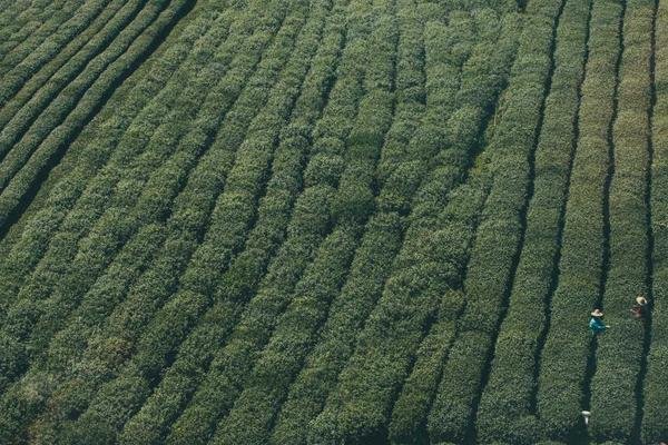 Student Meal Kitchen Benta Chowk