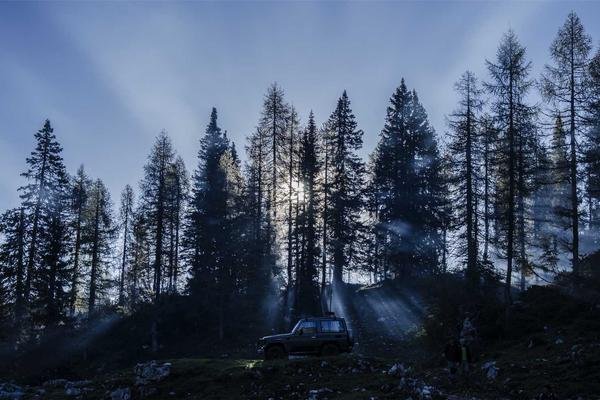 Quick Print DMCH Area