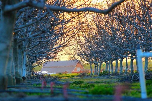 Student Stay Laheriasarai