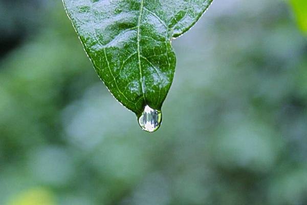 Student Stay Raj Campus Area